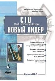 CIO – новый лидер. Постановка задач и достижение целей.