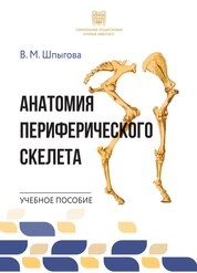 Анатомия периферического скелета