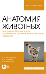 Анатомия животных. Неврология. Органы чувств. Особенности строения домашней птицы. Практикум