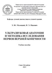 Ультразвуковая анатомия и методика исследования нервов верхней конечности