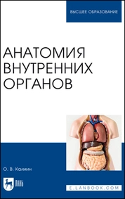 Анатомия внутренних органов