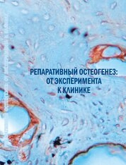 Репаративный остеогенез: от эксперимента к клинике
