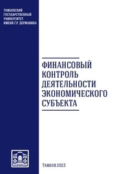 Финансовый контроль деятельности экономического субъекта