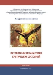 Патологическая анатомия критических состояний