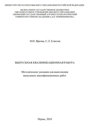 Выпускная квалификационная работа