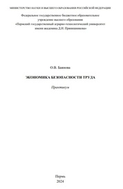 Экономика безопасности труда: практикум