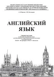 Английский язык. Профессиональный цикл