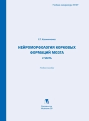 Нейроморфология корковых формаций мозга. 2 часть
