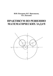 Практикум по решению математических задач