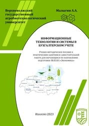 Информационные технологии и системы в бухгалтерском учете