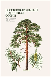 Возобновительный потенциал сосны
