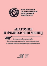 Анатомия и физиология мышц