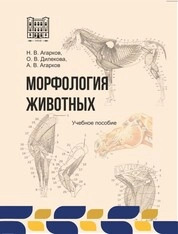 Морфология животных