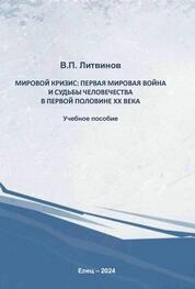 Мировой кризис: Первая мировая война и судьбы человечества в первой половине ХХ века