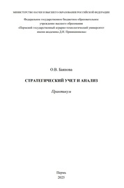 Стратегический учет и анализ: практикум