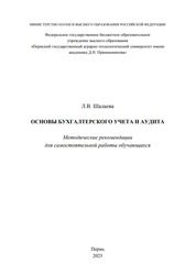 Основы бухгалтерского учета и аудита