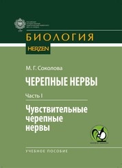 Черепные нервы. Часть I. Чувствительные черепные нервы
