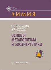 Основы метаболизма и биоэнергетики