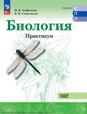 Биология : базовый уровень : практикум