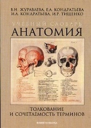 Учебный словарь сочетаемости анатомических терминов