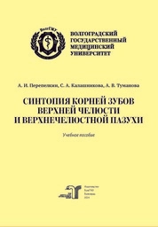 Синтопия корней зубов верхней челюсти и верхнечелюстной пазухи