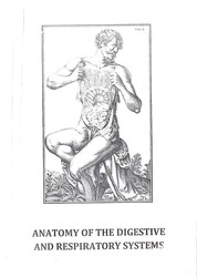 Anatomy of the digestive and respiratory systems