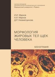 Морфология жировых тел щек человека
