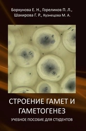 Строение гамет и гаметогенез