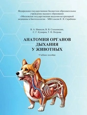 Анатомия органов дыхания у животных