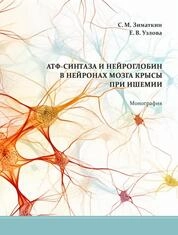 АТФ-синтаза и нейроглобин в нейронах мозга крысы при ишемии