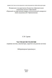 Частная гистология (нервная система, анализаторы, сердечно сосудистая система): лабораторный практикум