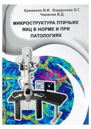Микроструктура птичьих яиц в норме и при патологиях