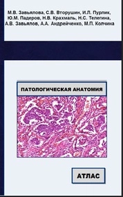 Патологическая анатомия. Атлас для стоматологов