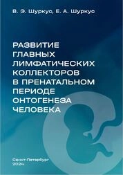 Развитие главных лимфатических коллекторов в пренатальном периоде онтогенеза человека