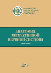 Анатомия вегетативной нервной системы
