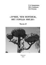 «Лучше, чем Воронеж, нет города нигде!» Часть II