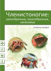 Членистоногие: ракообразные, паукообразные, насекомые