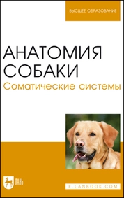 Анатомия собаки. Соматические системы