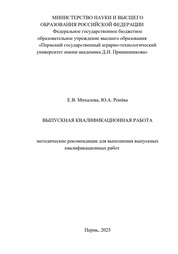 Выпускная квалификационная работа: методические рекомендации для выполнения выпускных квалификационных работ