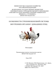 Особенности строения венозной системы внутренних органов у домашних птиц