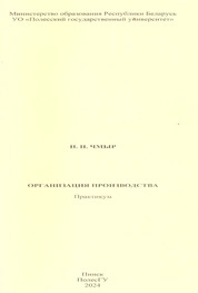 Организация производства: практикум для студентов учреждений высшего образования экономических специальностей