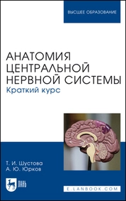 Анатомия центральной нервной системы. Краткий курс