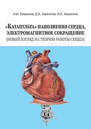 «Катапульта» наполнения сердца, электромагнитное сокращение (новый взгляд на теорию работы сердца)
