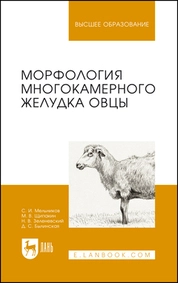 Морфология многокамерного желудка овцы