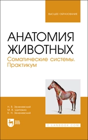 Анатомия животных. Соматические системы. Практикум