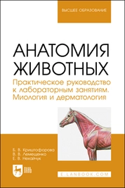 Анатомия животных. Практическое руководство к лабораторным занятиям. Миология и дерматология