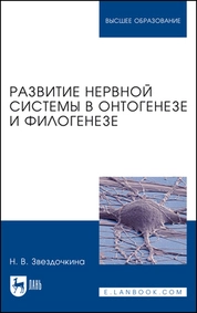 Развитие нервной системы в онтогенезе и филогенезе