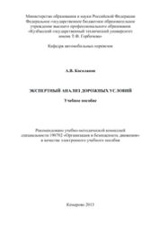 Экспертный анализ дорожных условий