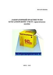 Лабораторный практикум по бухгалтерскому учету
