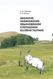 Биология размножения обыкновенной слепушонки Ellobius talpinus